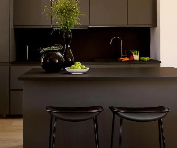 Two Bedroom Luxury Sorgo Cerva In Old Town *